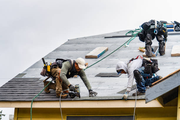 Professional Gutter Installation technician working in Riverside, IL